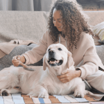 Easy Ways to Communicate Better with Your Dog in Regina