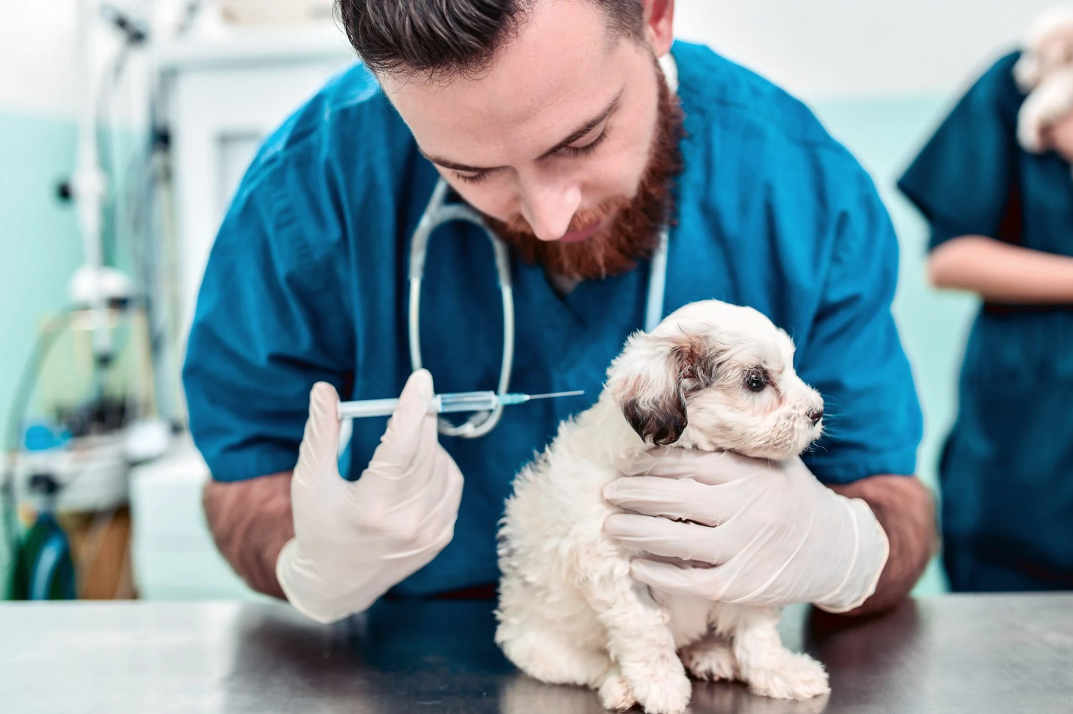 Pet Vaccination Clinic Regina